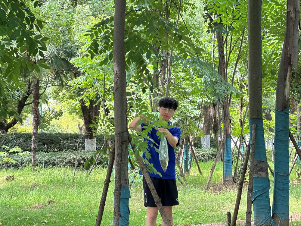 ߵ˼nh(hun)WԺֲ̈F_չֲ{cɼԼ˱