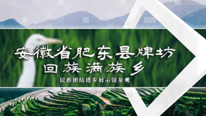 ϾW̩݌WԺtʯ񡱸ʖ|Ʒl(xing)̽干ڌ`߻ӌЧ