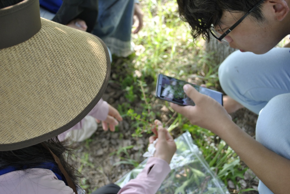 ߵ˼nh(hun)WӸʮｭɼֲﲢƘ˱ ׃h(hun)̷eز