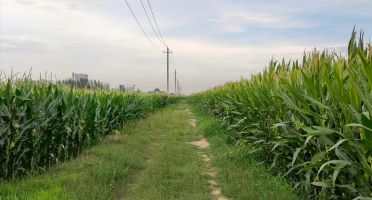 r`FgxܣݘI(y)Ƽ׷Nֲ|