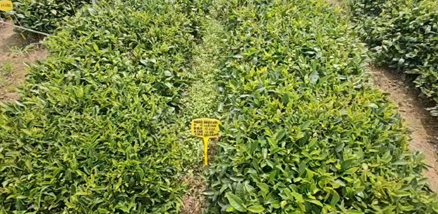 rI(y)`F{u^N۶˷aI(y) ̽ݘI(y)xB(ti)·